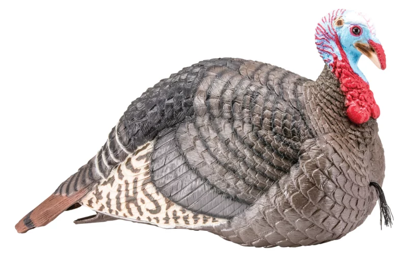 HS Strut 100003 Strut-Lite Jake Wild Turkey Species Multi Color ...